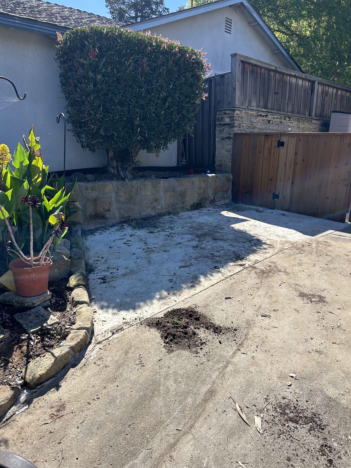 After – backyard fully cleared by Jack's Junk Removal