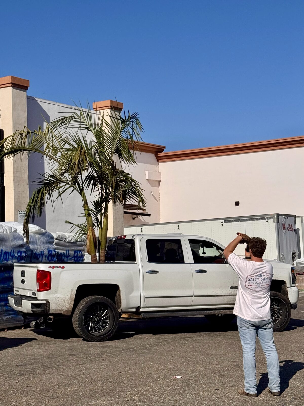 Palm tree delivery and hauling by Jack's Junk Removal